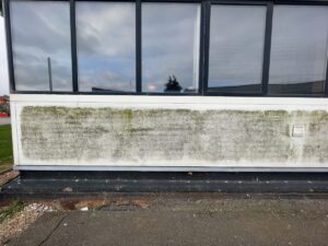 Algae stained cladding on commercial building in Kent before soft washing