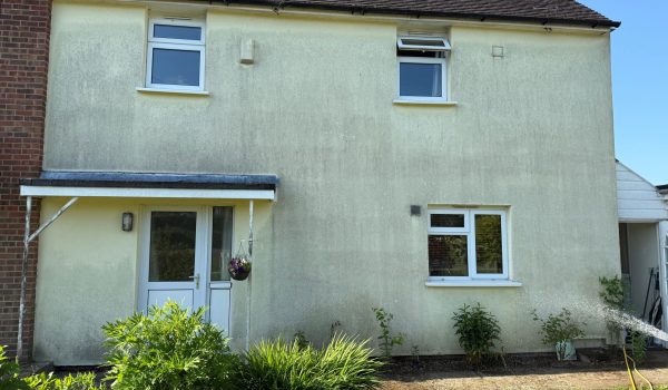 Mould Growth On Render